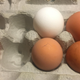 F for farmer’s market, W for weeks’ old, B for brown, blank white egg for blank white egg